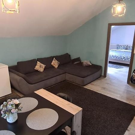 Comfort Home Apartment 3 Petroşani Eksteriør bilde