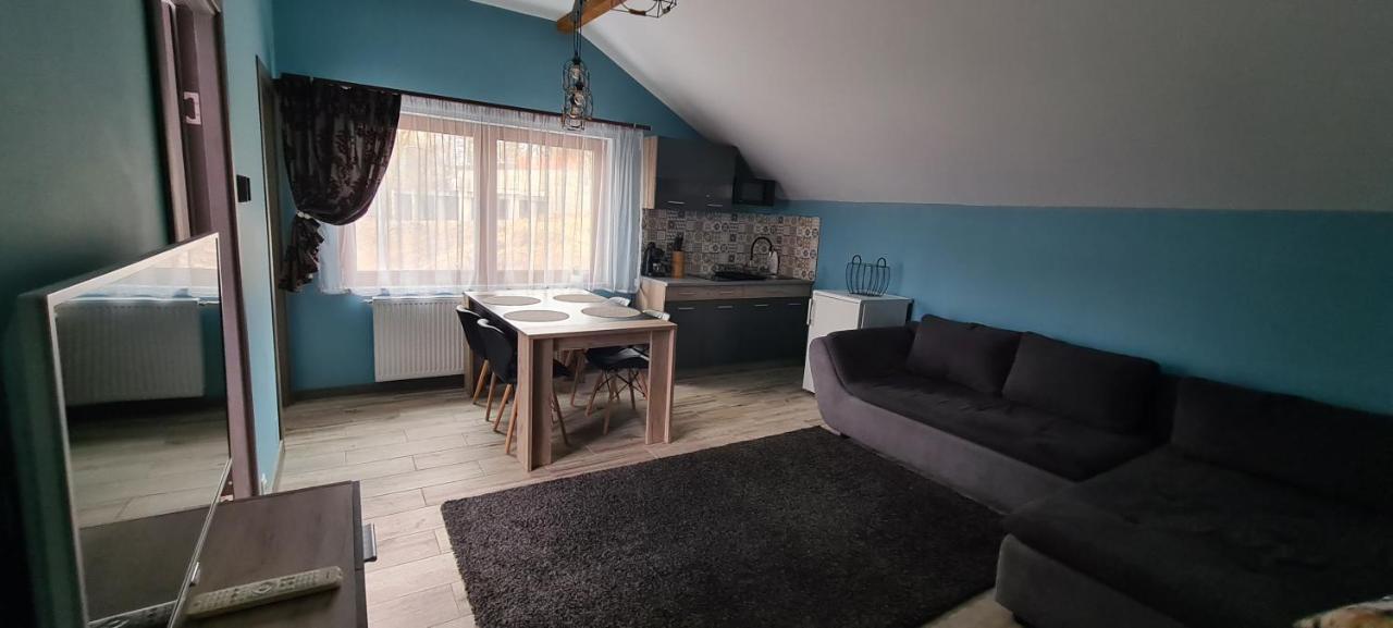 Comfort Home Apartment 3 Petroşani Eksteriør bilde